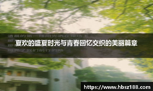 夏欢的盛夏时光与青春回忆交织的美丽篇章